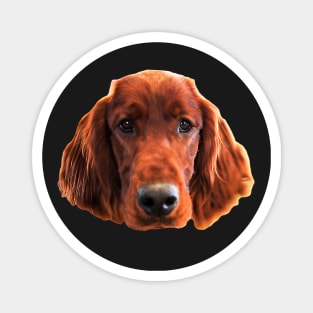 Irish Setter Dog Cute Face Magnet